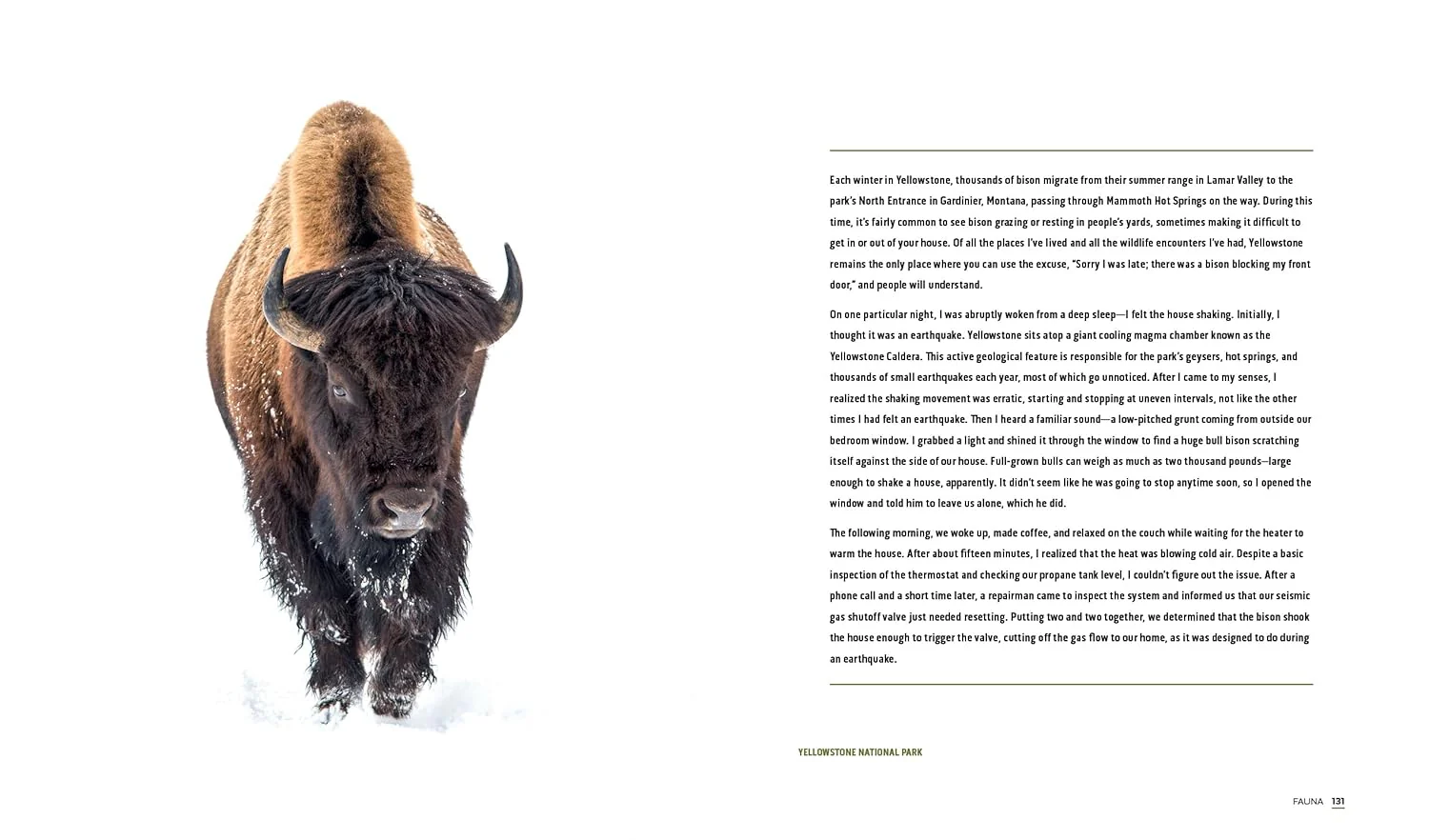 Parklands: America's National Parks and Public Lands by Jacob Frank - Image 7