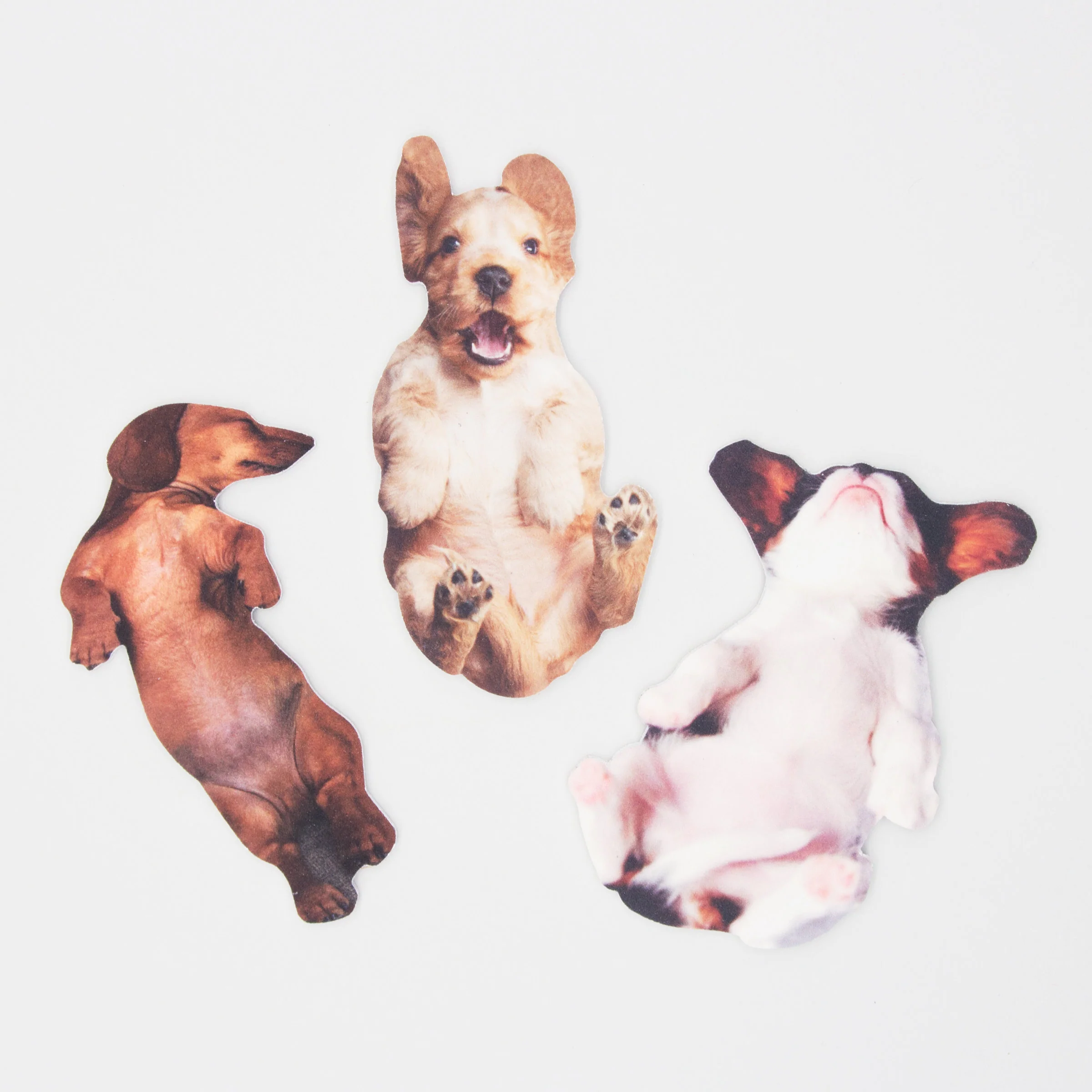 Pawfect Nail File - Image 2