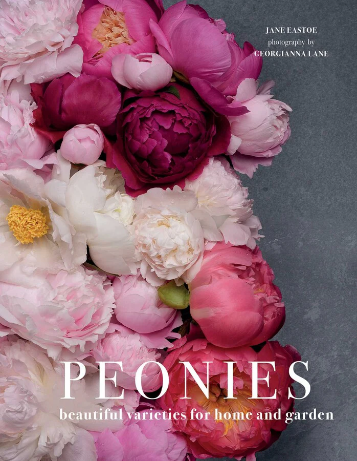 Peonies by Jane Eastoe