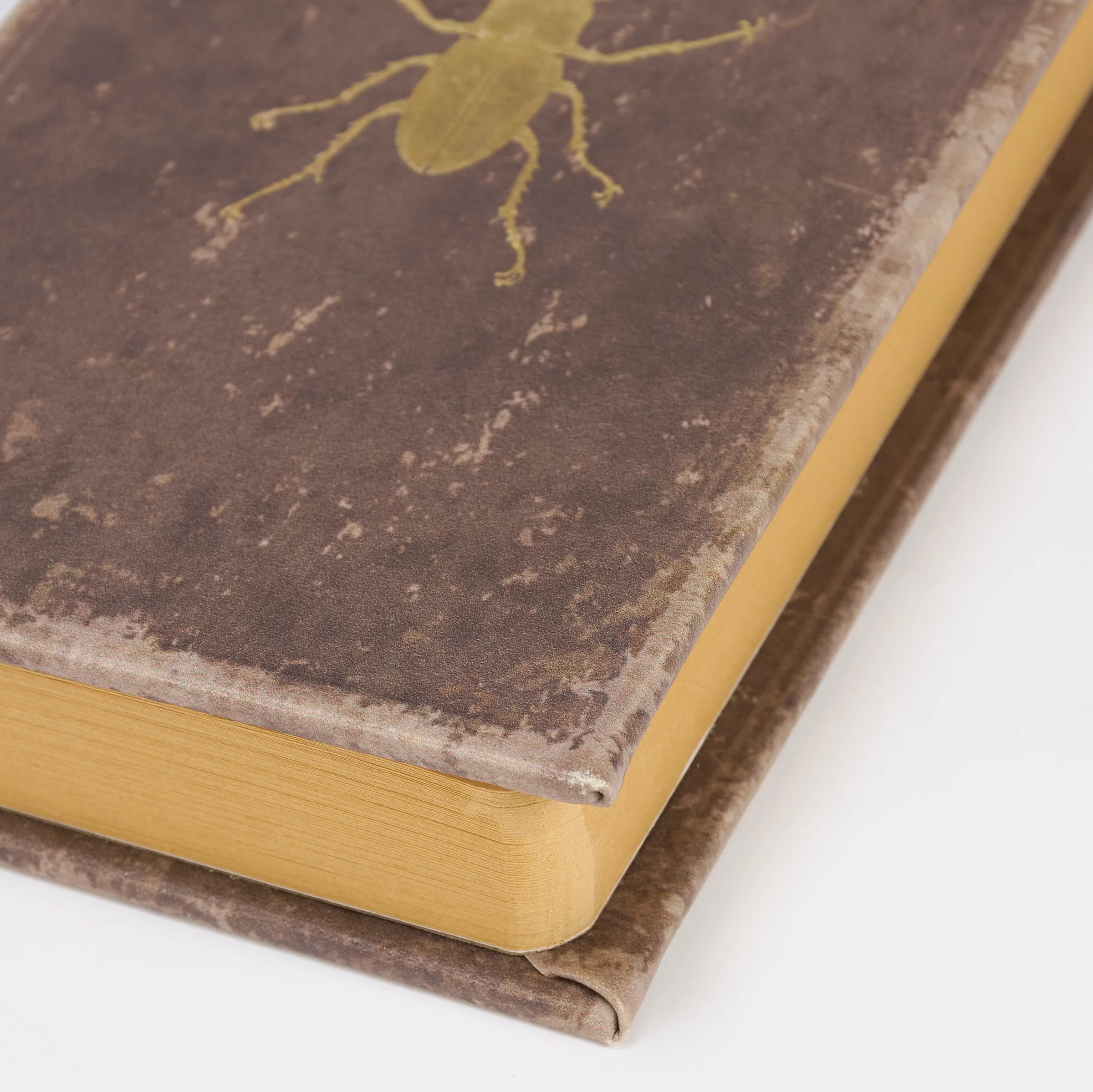 Primitives by Kathy - Vintage Beetle Journal - Image 4