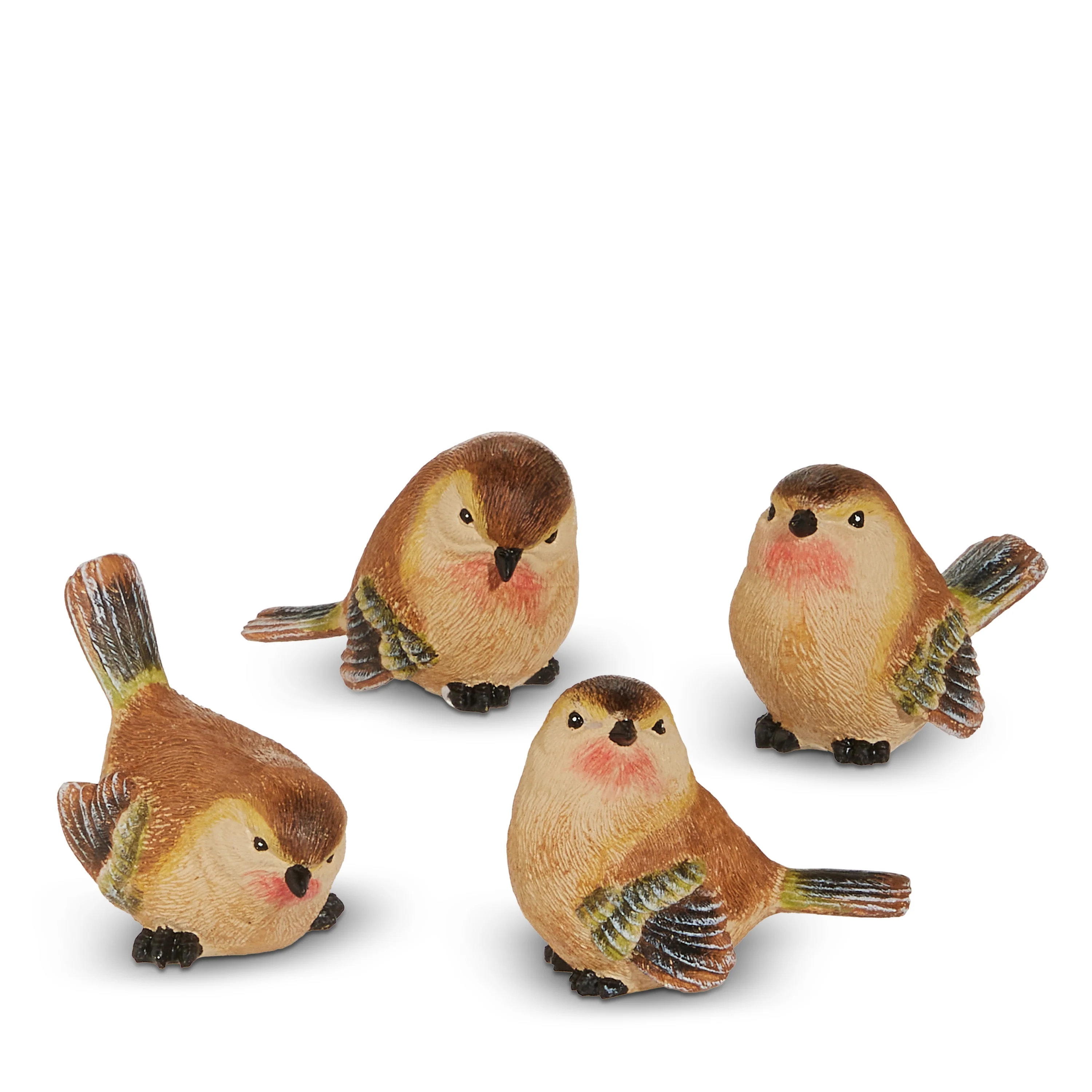 RAZ Import - Wren Bird Sitter