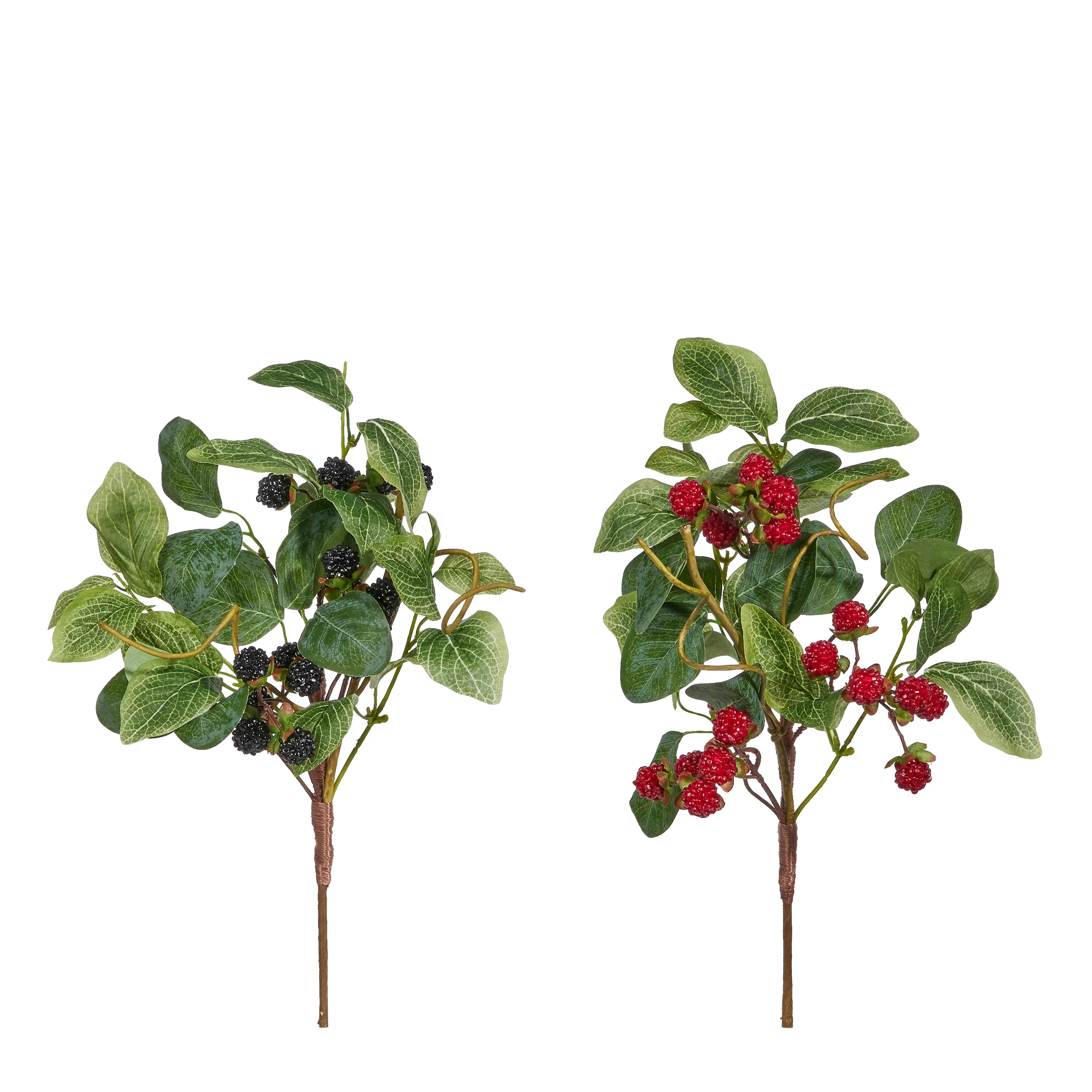 RAZ Imports - Berry Pick