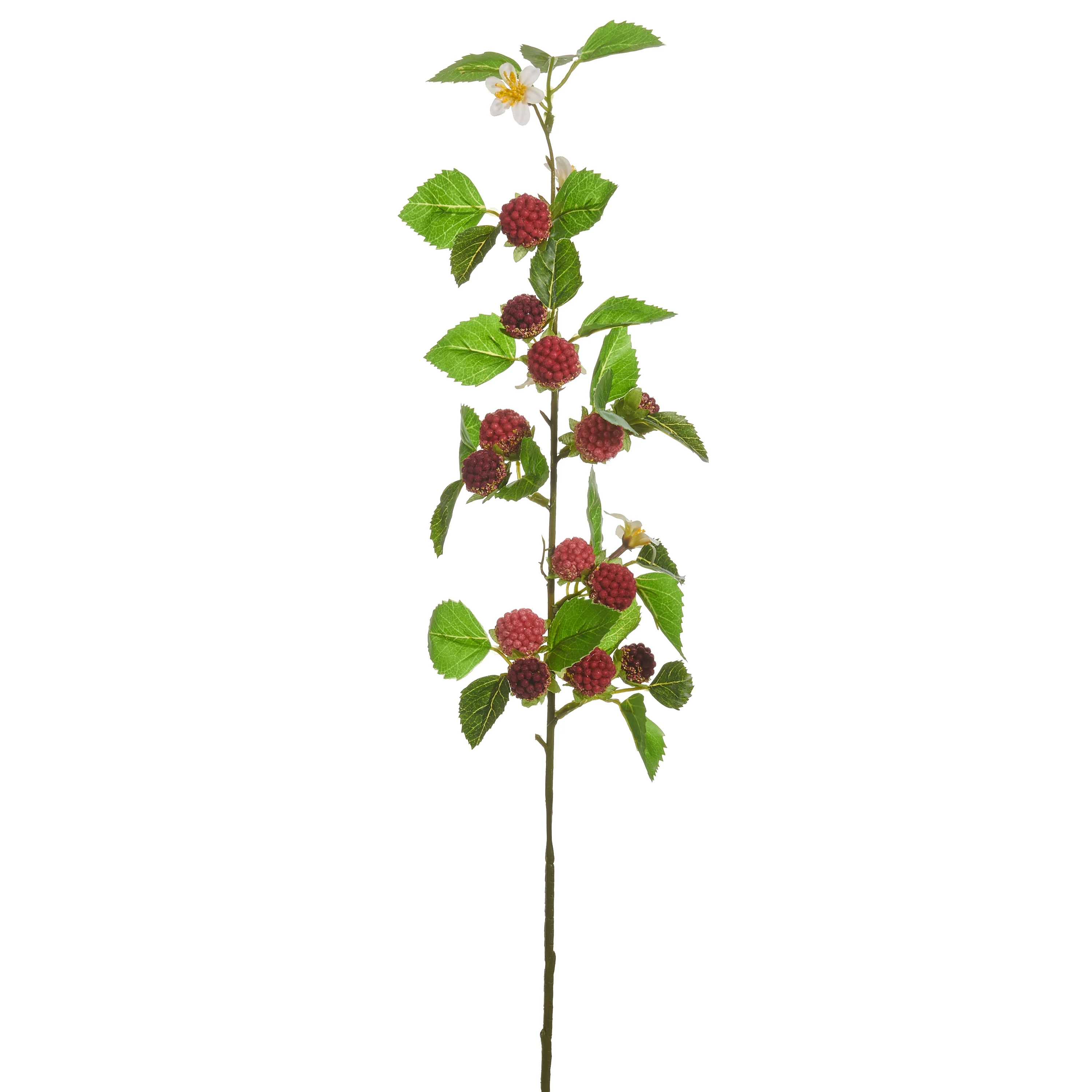 RAZ Imports - Berry Spray