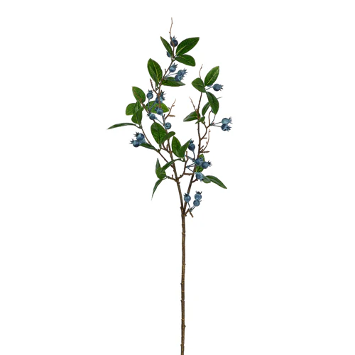 RAZ Imports - Blueberry Spray
