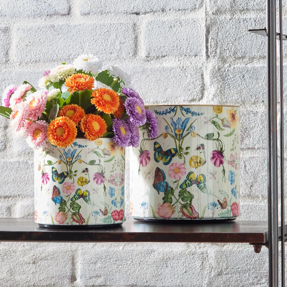 RAZ Imports - Botanical Flight Containers