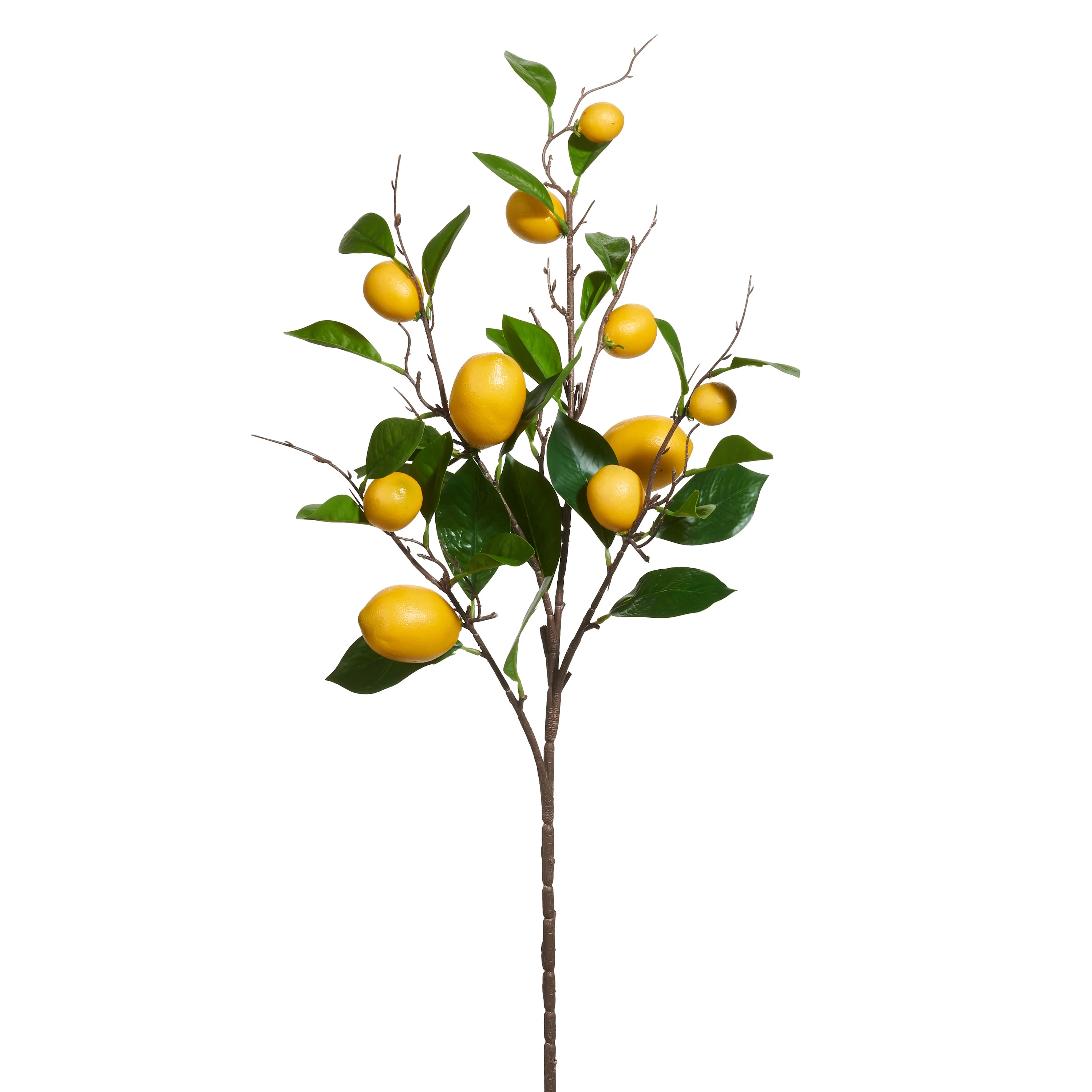 RAZ Imports - Lemon Spray