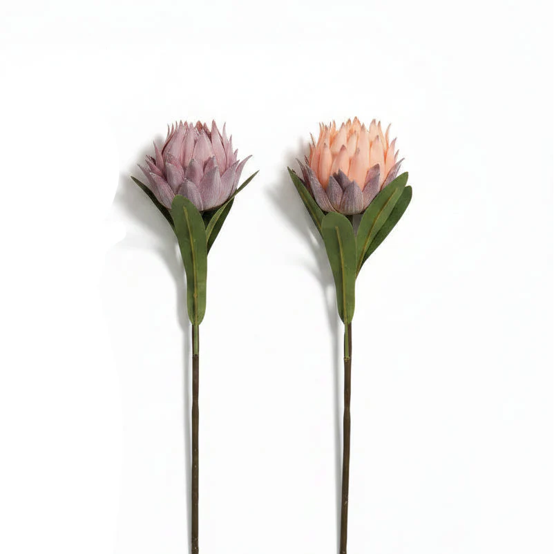 RAZ Imports - Protea Stem