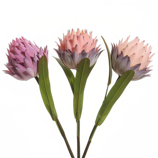 RAZ Imports - Protea Stem - Image 3