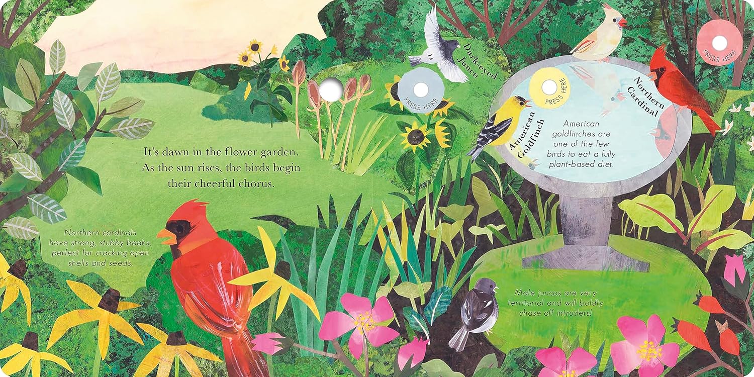 Songs Of The Birds by Isabel Otter - Image 2