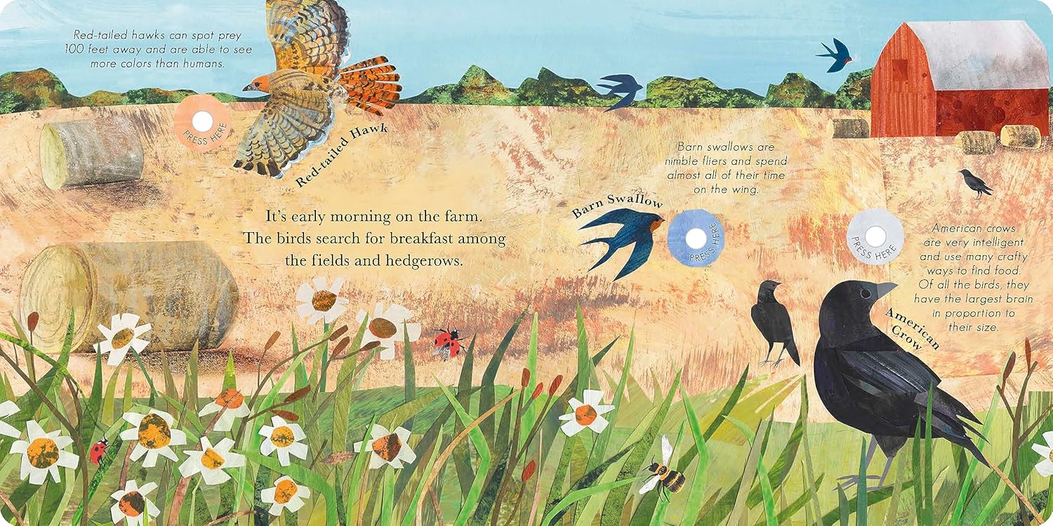 Songs Of The Birds by Isabel Otter - Image 3
