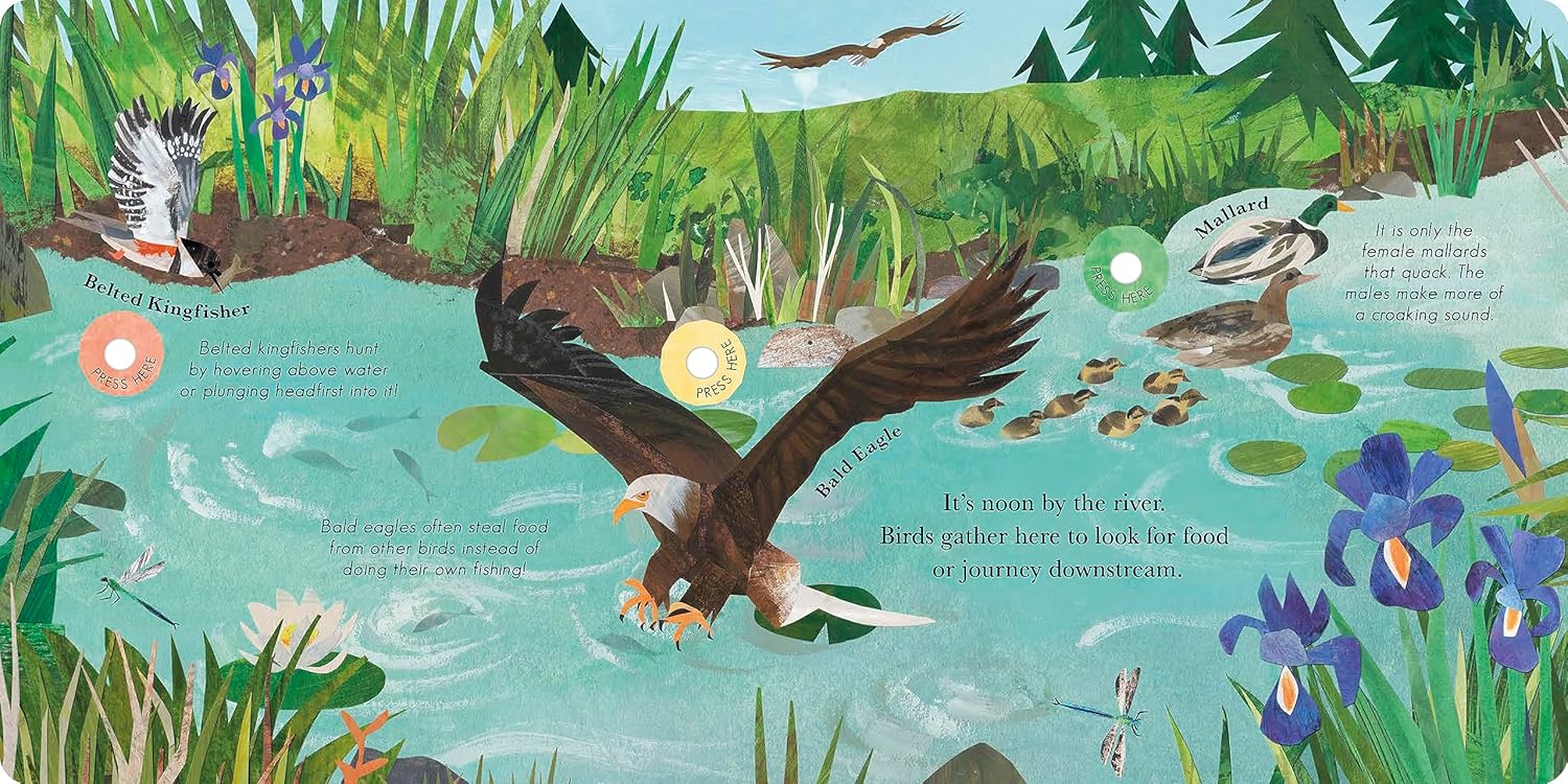 Songs Of The Birds by Isabel Otter - Image 4