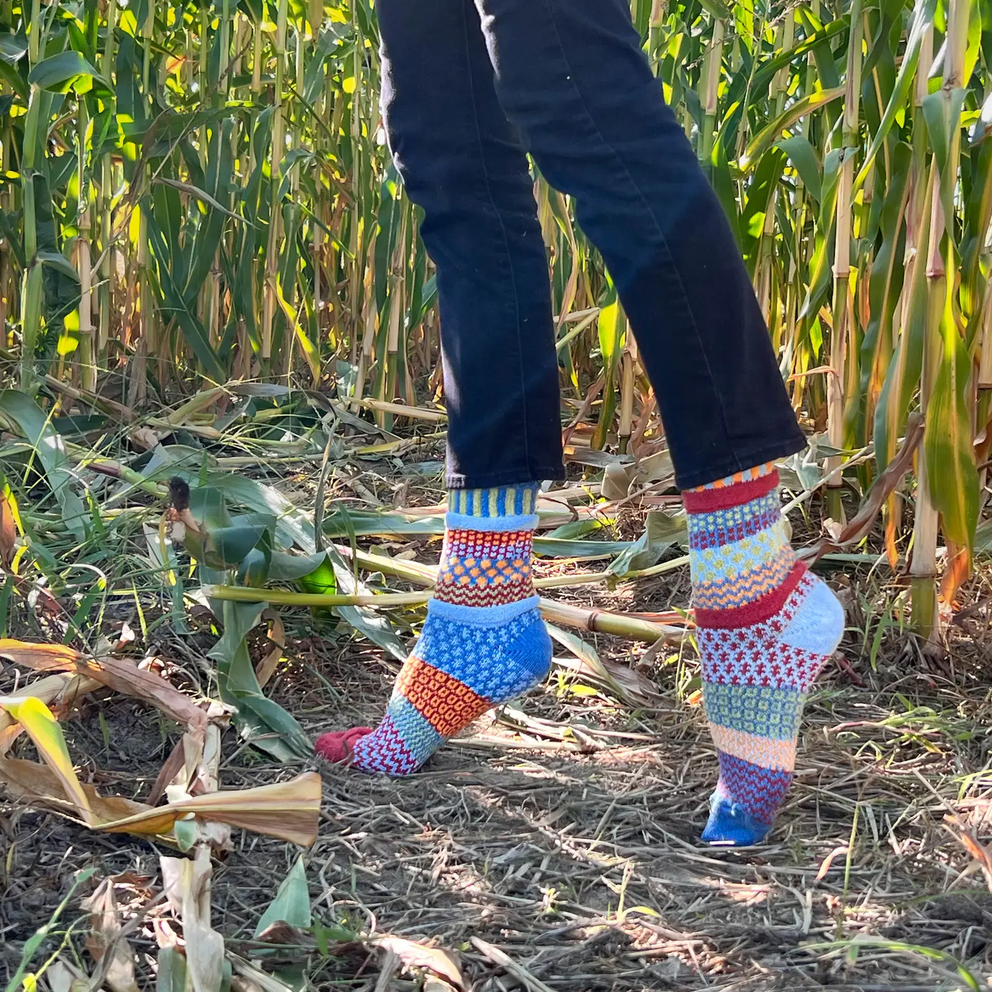 Solmate Socks - Fig Crew Socks