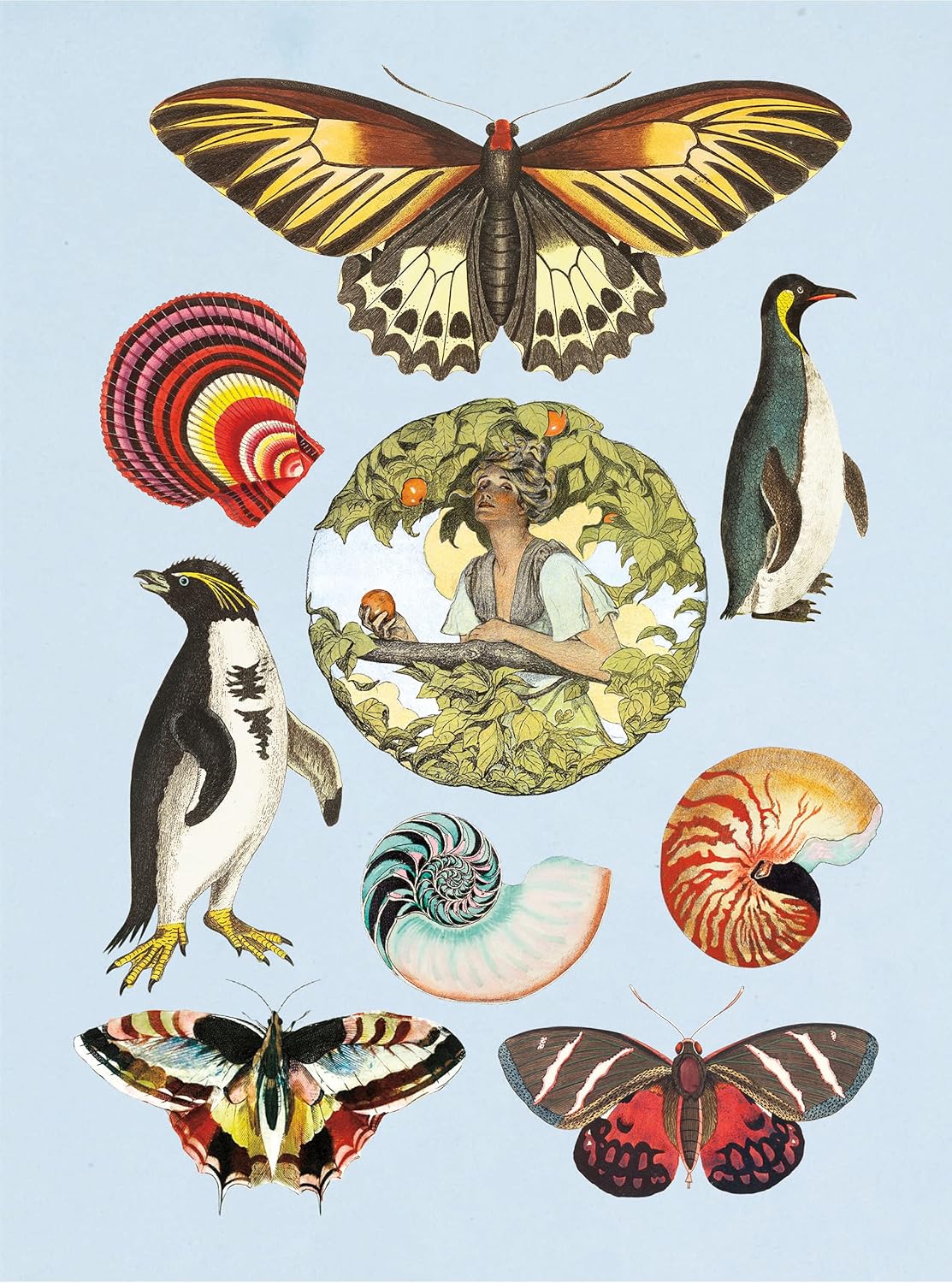 The Antiquarian Sticker Book by Odd Dot - Image 4