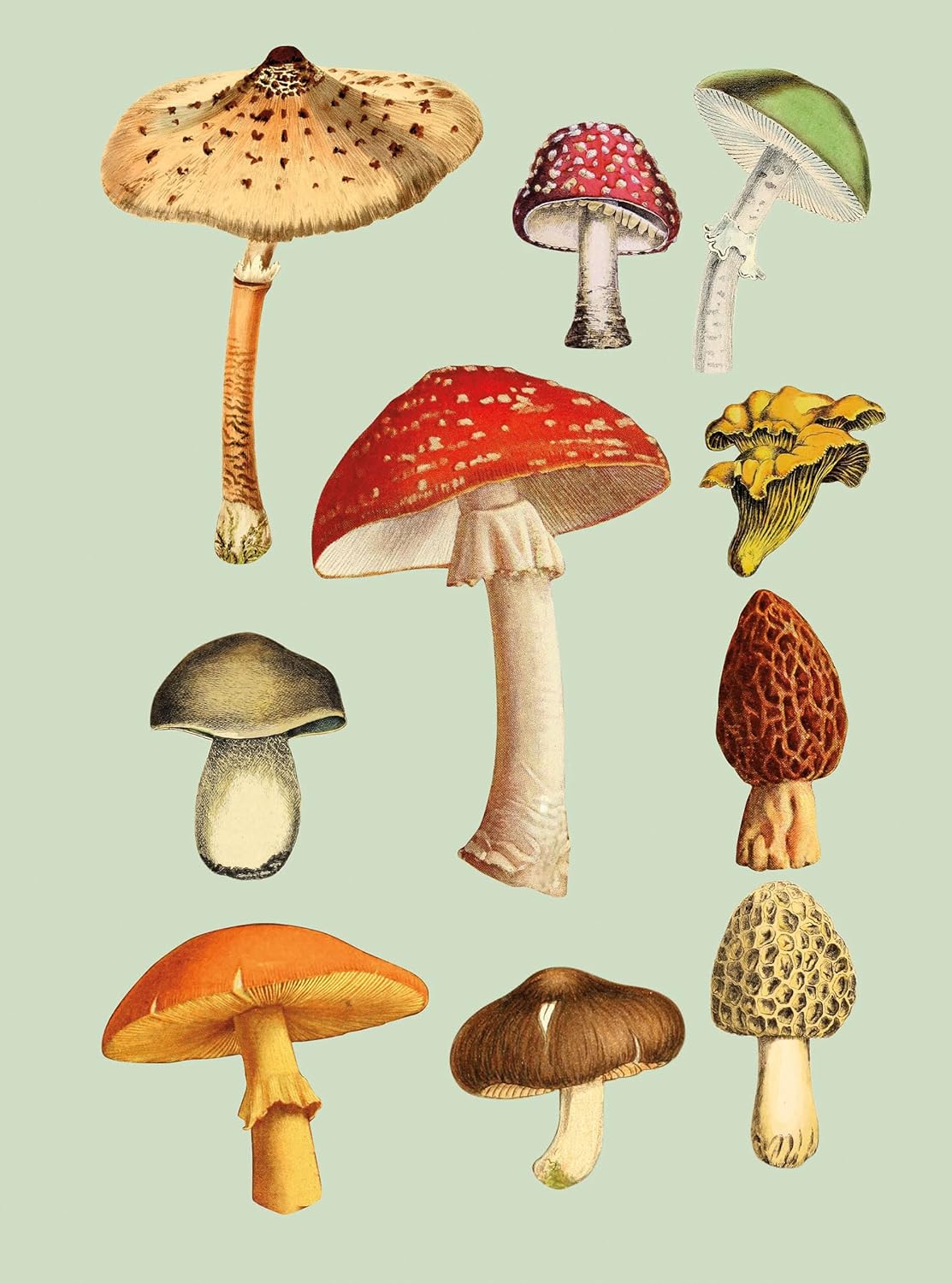 The Antiquarian Sticker Book by Odd Dot - Image 7