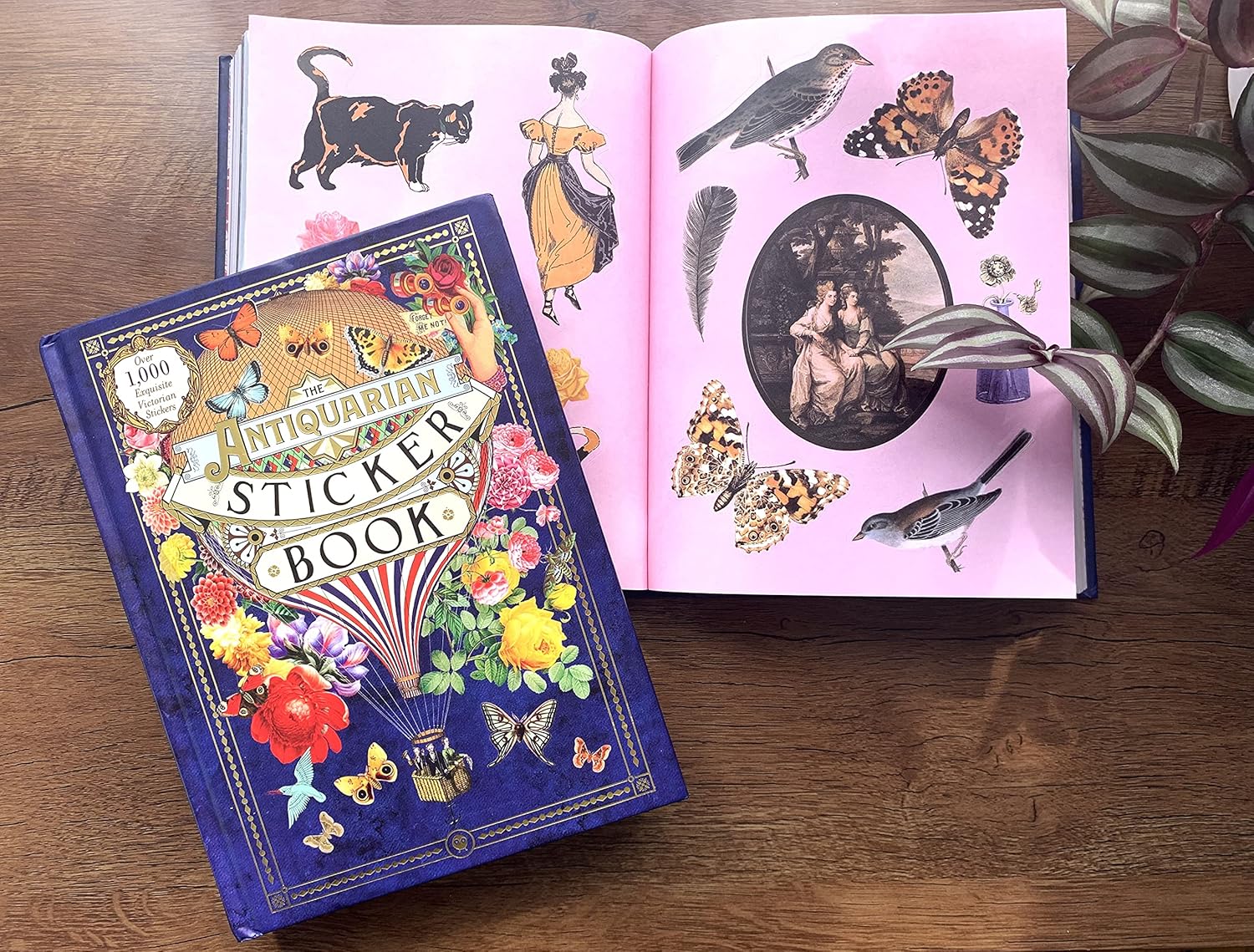 The Antiquarian Sticker Book by Odd Dot - Image 8