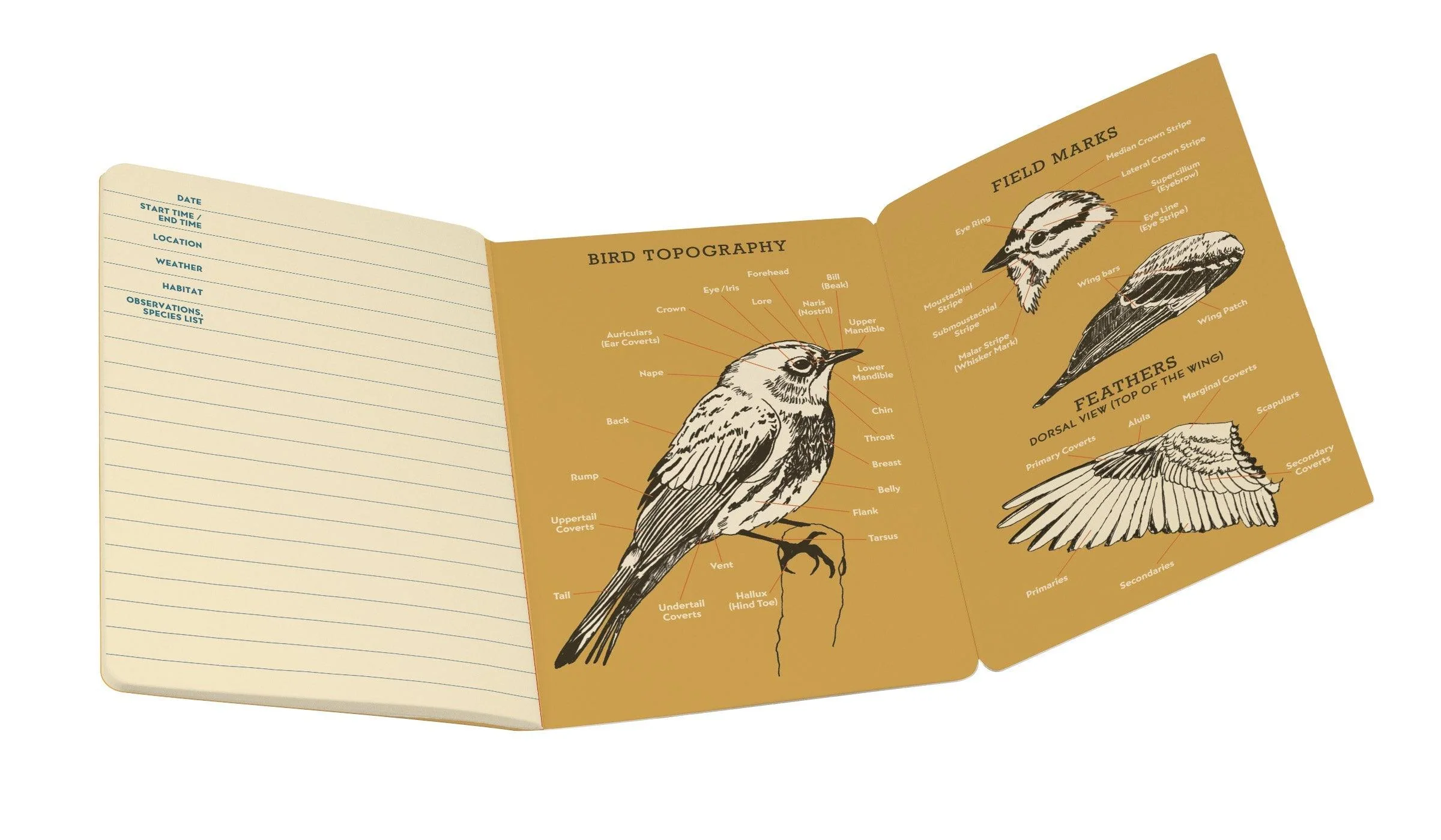 The Unemployed Philosophers Guild - Birdwatching Notebook - Image 2