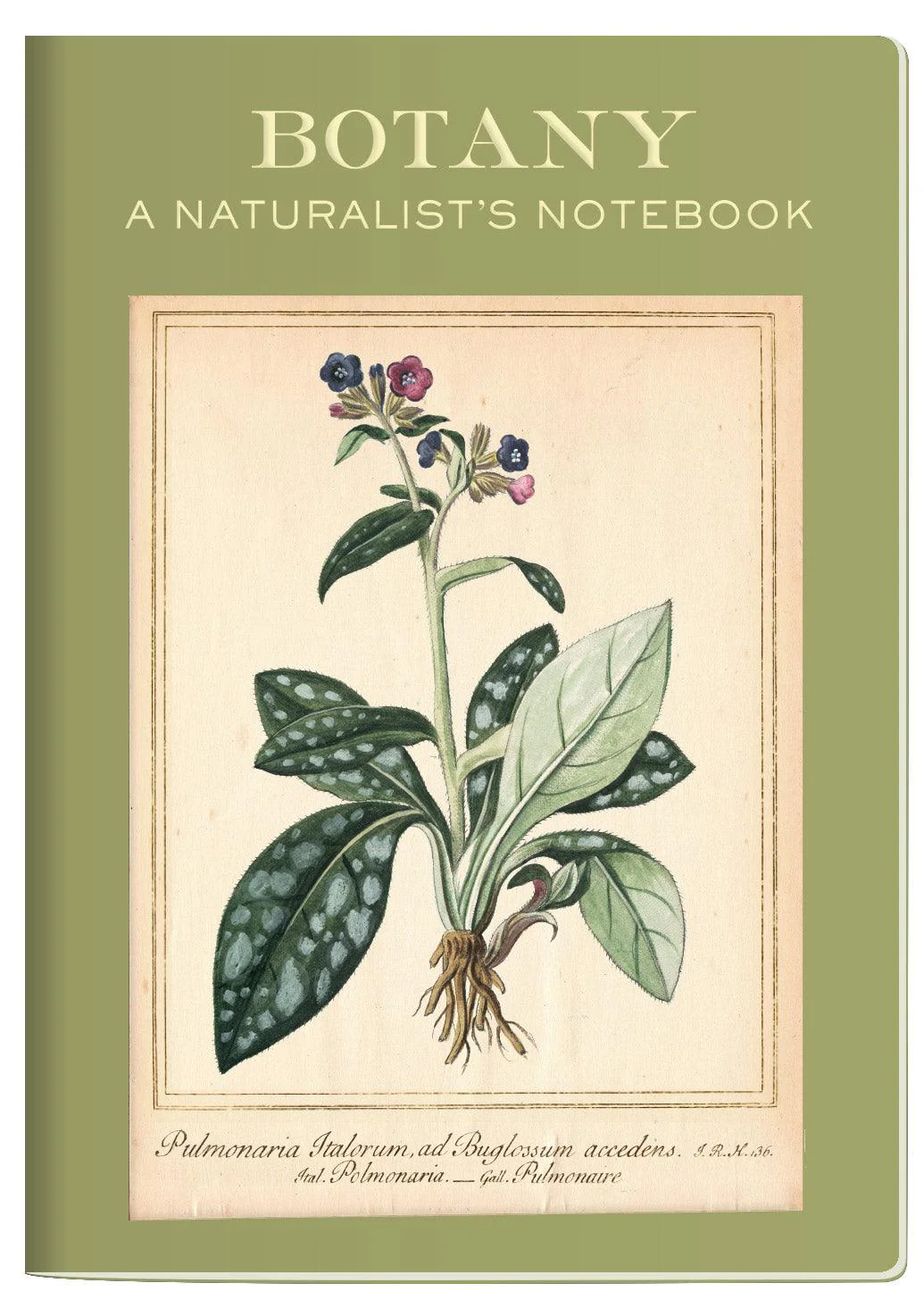 The Unemployed Philosophers Guild - Botany Notebook