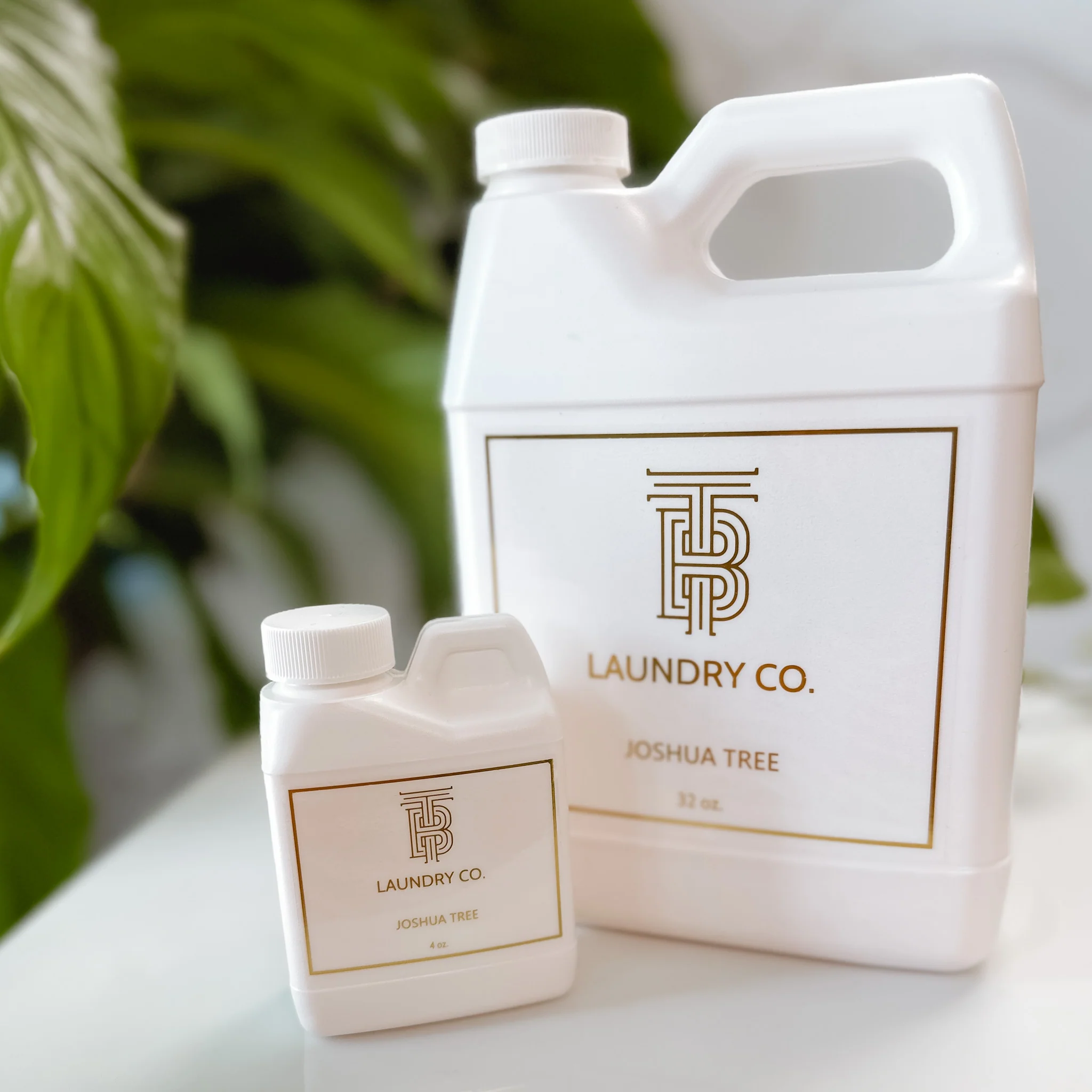 Thomas Blonde - Joshua Tree Laundry Detergent