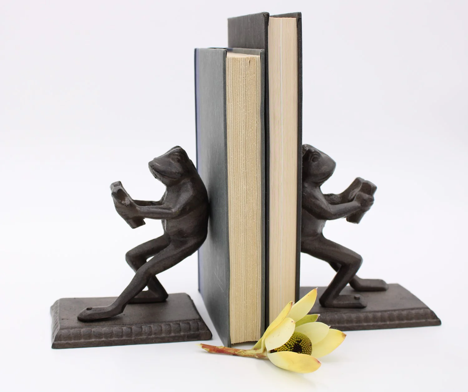 Trade Cie - Reading Frogs Cast Iron Bookends - Image 2