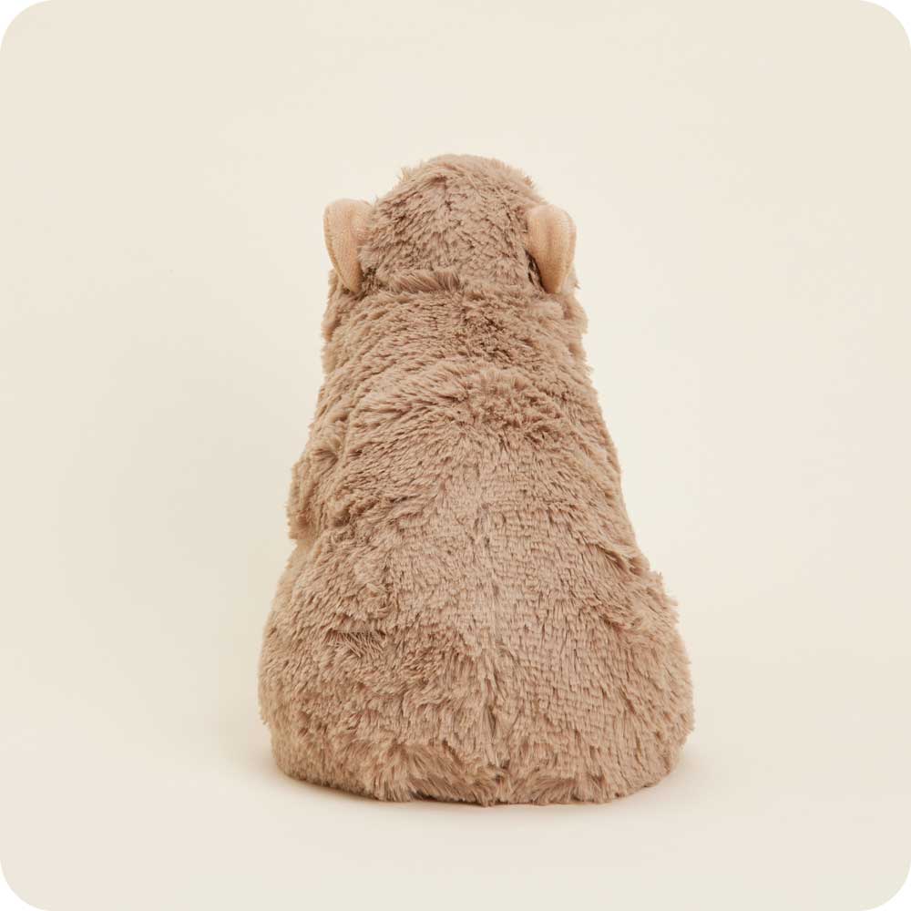 Warmies - Capybara Plush Toy - Image 3