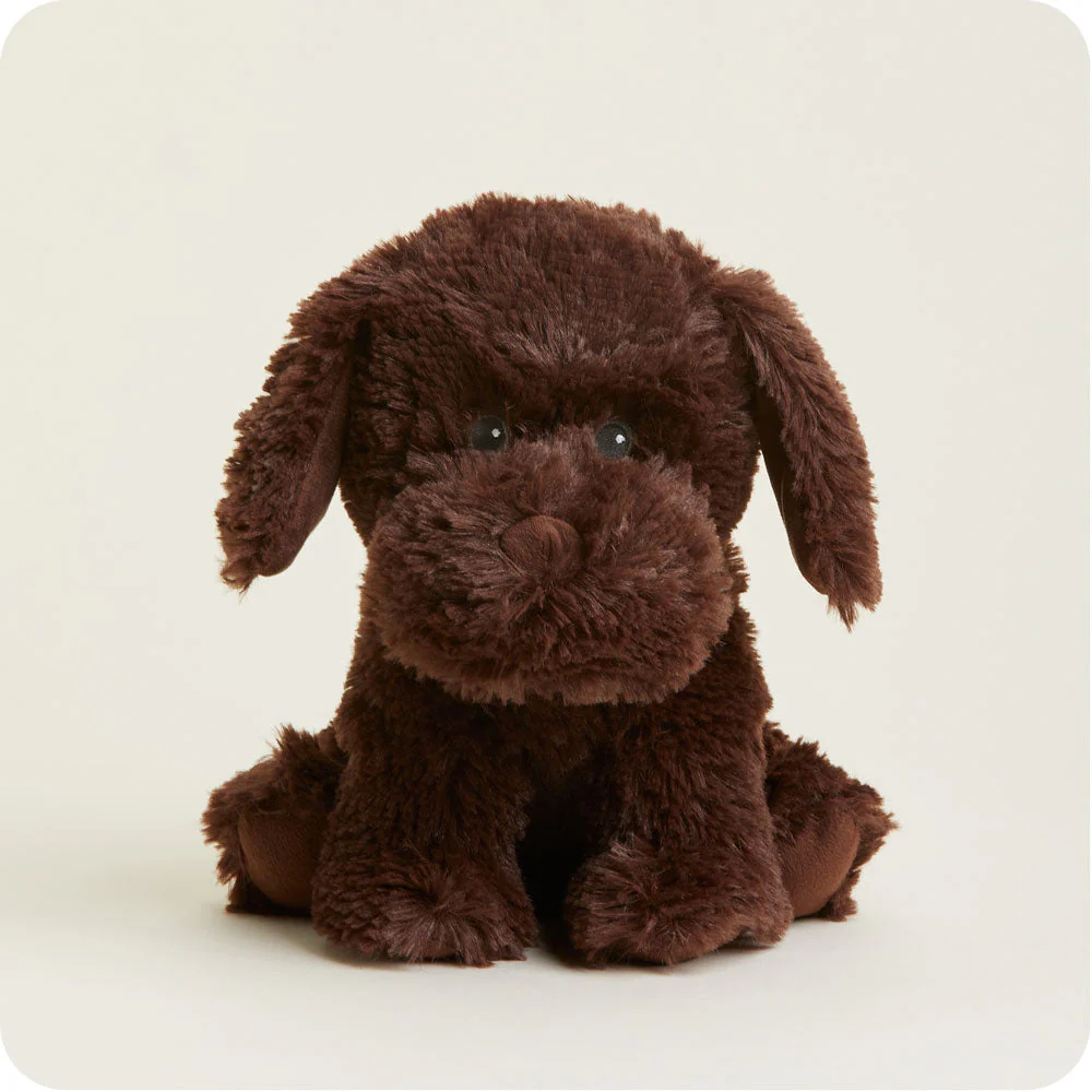 Warmies - Chocolate Labrador Plush Toy