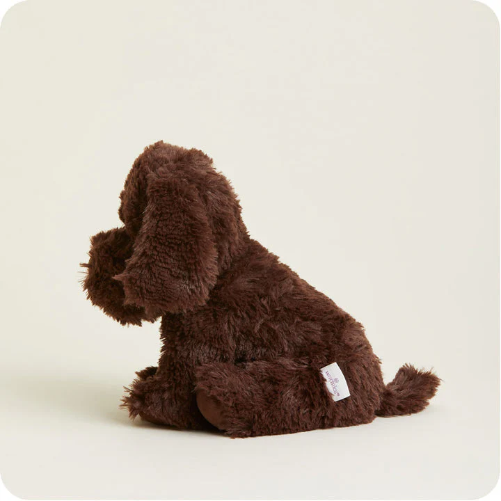 Warmies - Chocolate Labrador Plush Toy - Image 3