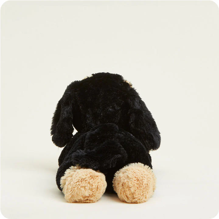 Warmies - Dachshund Plush Toy - Image 3