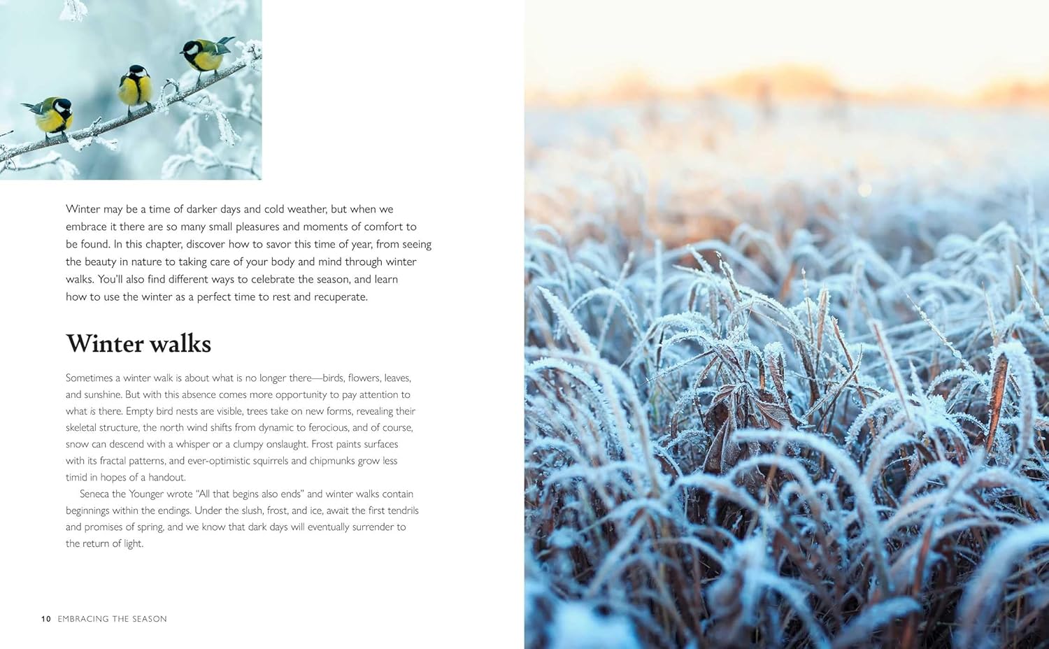 Winter Wellbeing by Cico Books - Image 2