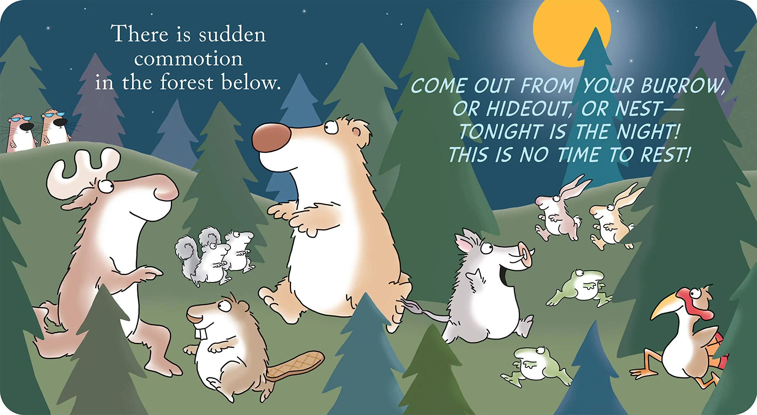 Woodland Dance! by Sandra Boynton - Image 4